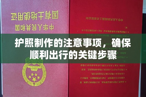 射洪护照制作的注意事项，确保顺利出行的关键步骤